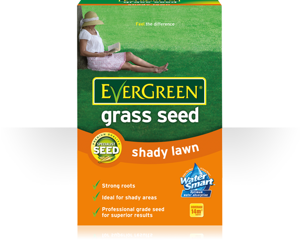 Evergreen Shady Lawn Grass Seed 420g